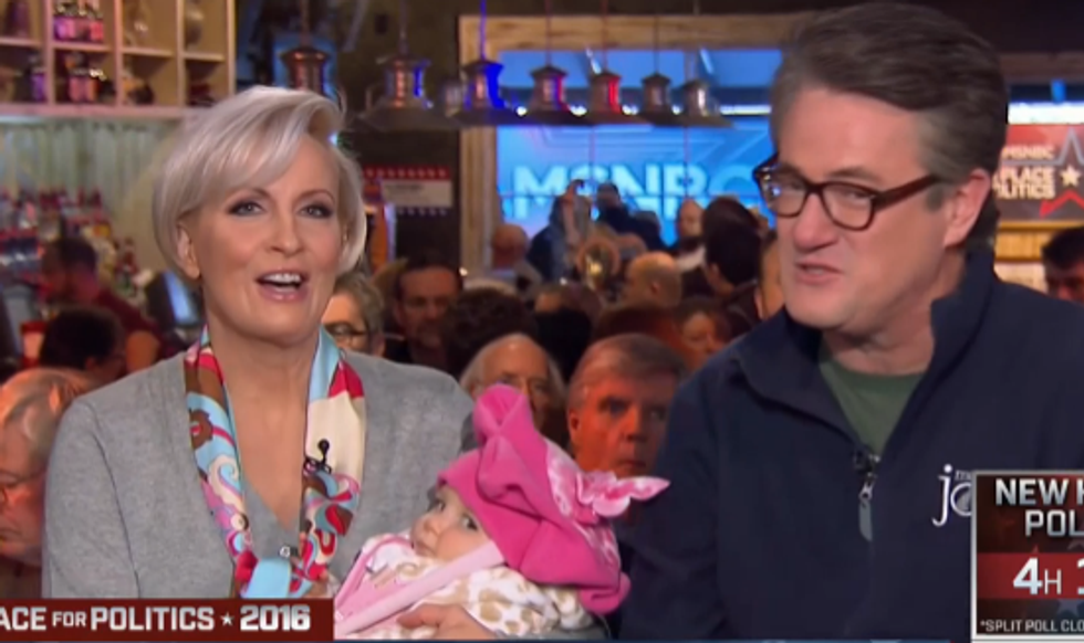 Wonkette Babby Wins All-Important New Hampshire 'Morning Joe' Primary