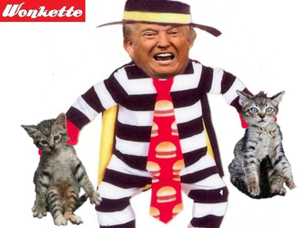 Puss-Burglar Defends Puss-Burglar Against Charges Of Aggravated Puss-Burgling