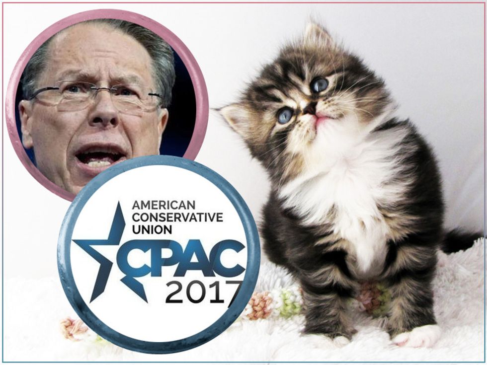 Let's All Watch The NRA's Big Tough Wayne LaPierre Whine A Whole Bunch At CPAC!