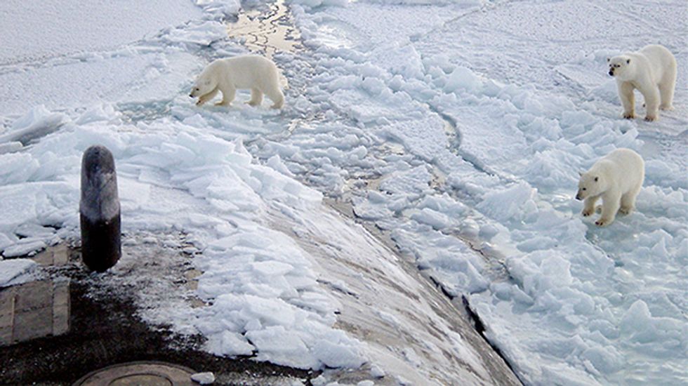 CIA Drops Climate Research Program Because Polar Bears Make Lousy Spies