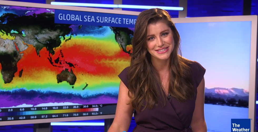 Weather Channel Tells Dead Breitbart To Shut Its Dumbass Mouth