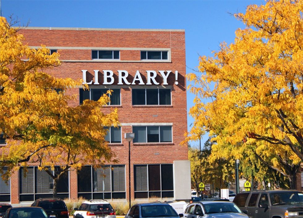 It's Time To Save 'Libraries' From The Koch Brothers, All You Four-Eyes Pointy-Headed Smarties!