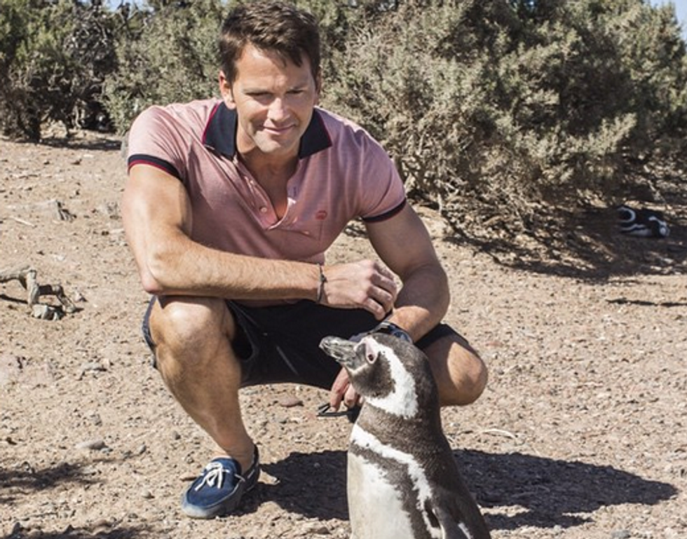 Twitter Calmly Assesses The Nuances Of Aaron Schock's Resignation