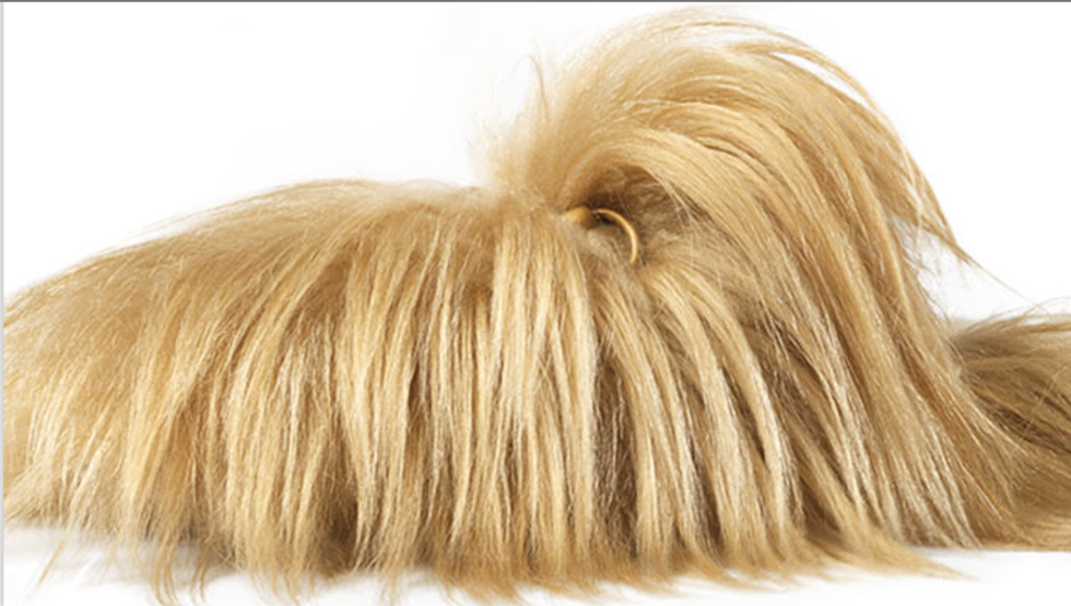Donald Trump Thinks His Hair Is Pretty. Donald Trump Thinks His Hair Is Pretty. Donald Trump Thinks ...
