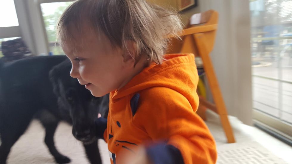 Your Weekly Top Ten Features Wonkette Baby WITH HER PUPPY DOG