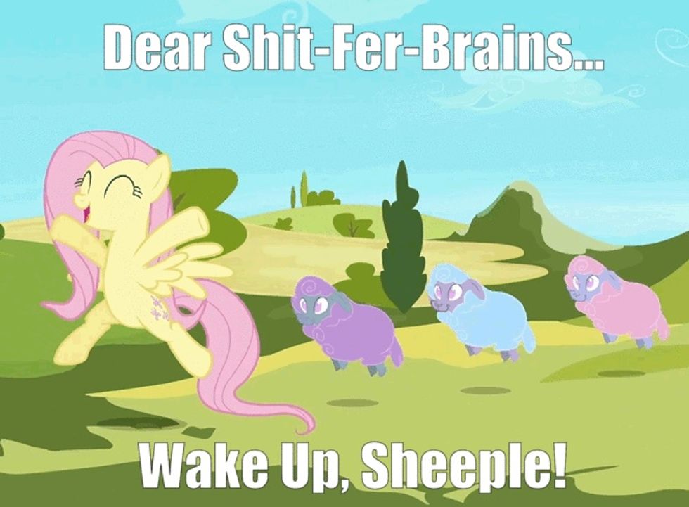 Deleted Comments Of The Week: You Sheeple Represent What Is Sad About America