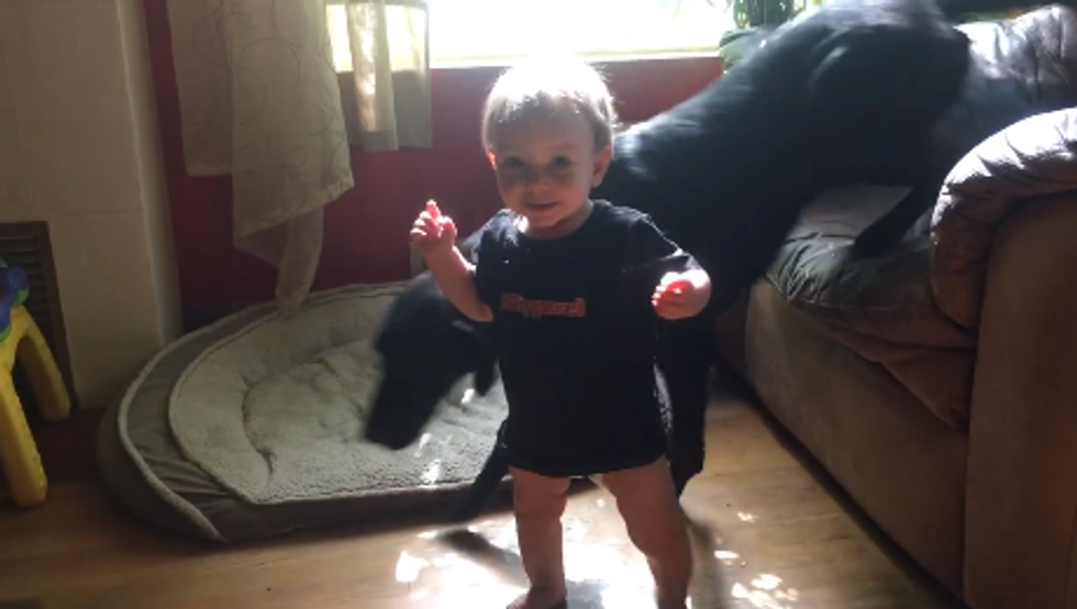 Wonkette Baby Literally Walking All Over Your Weekly Top Ten