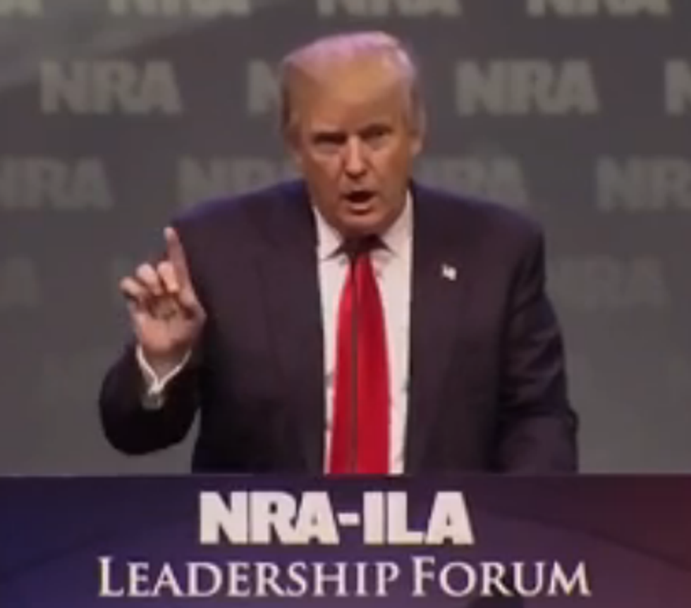 Water Is Wet, Nickelback Sucks, NRA Endorses Donald Trump