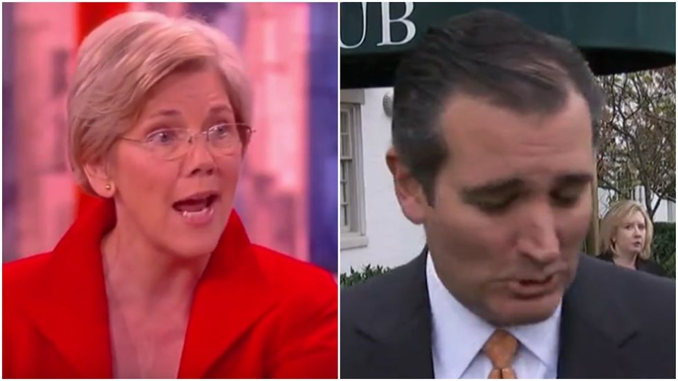 Elizabeth Warren Doesn't Seem To Like That Ted Cruz Boy Very Much