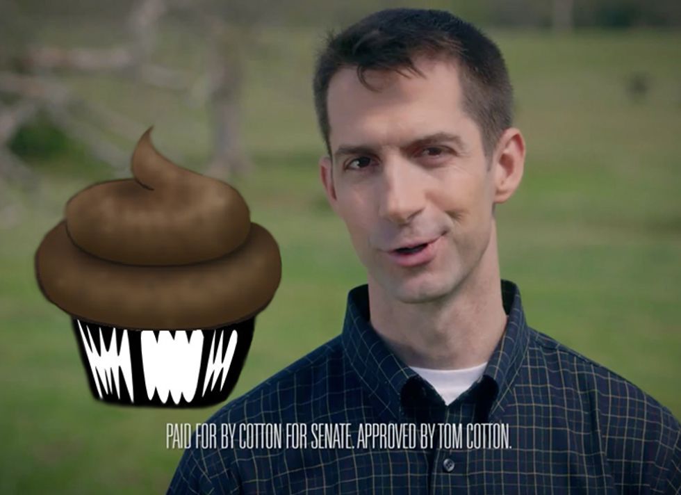 Meet Sen. Tom Cotton (R-Tehran), Your Legislative Sh*tmuffin For 2015
