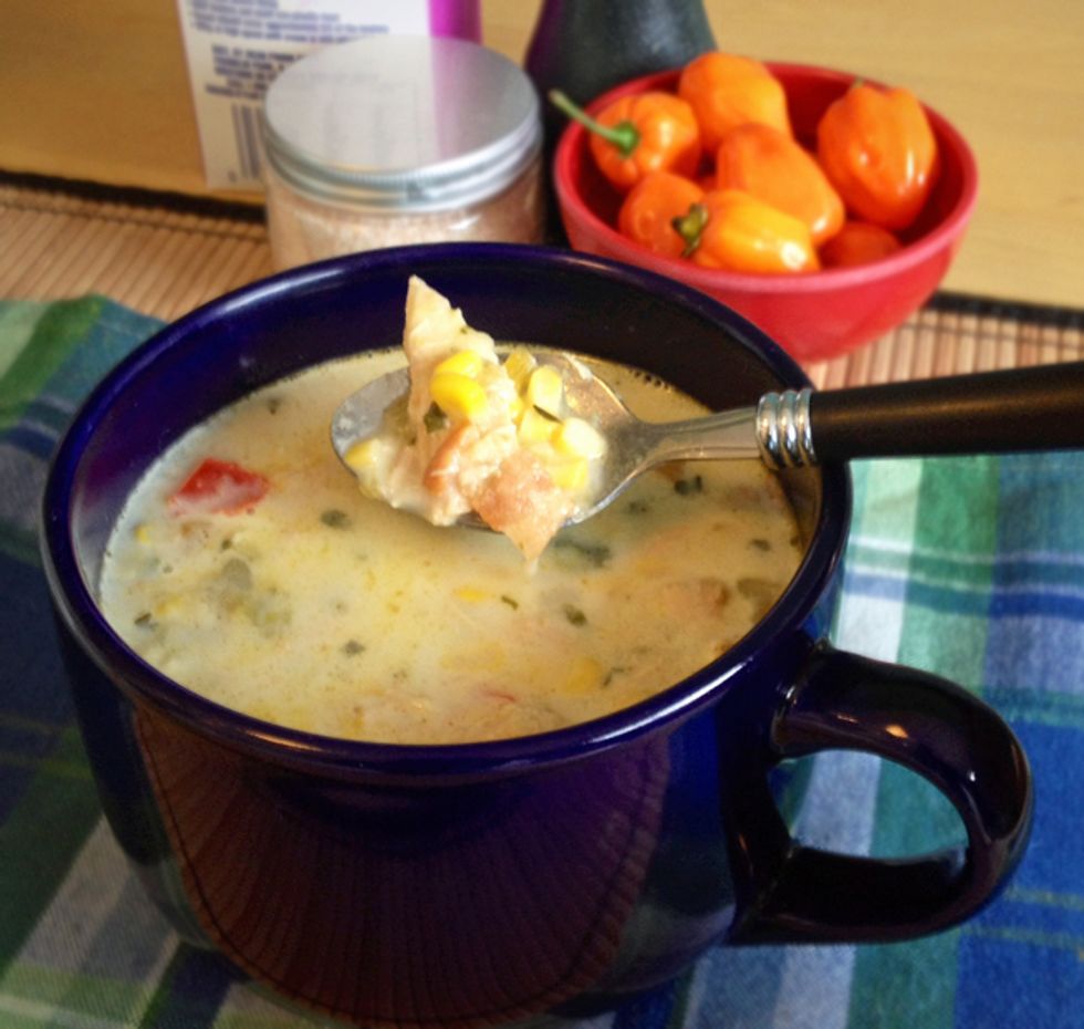 Put Your Leftovers In Your Stomach, With Spicy Turkey And Squash Soup!