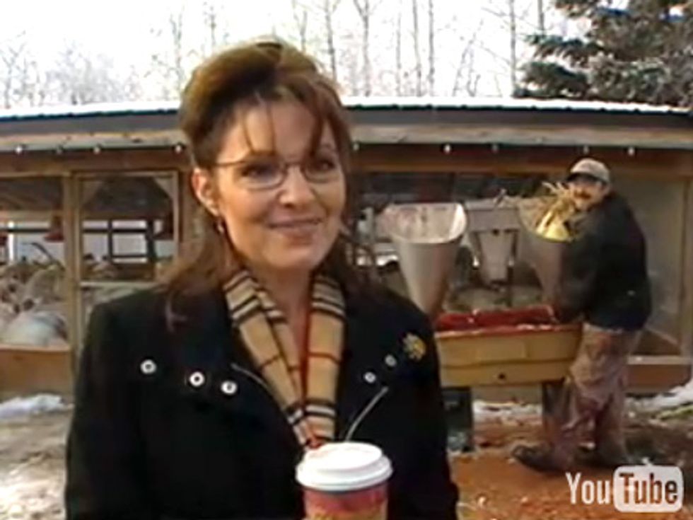 Here Is Your Annual Thanksgiving Sarah Palin Turkey Day Massacre, For 'Tradition'