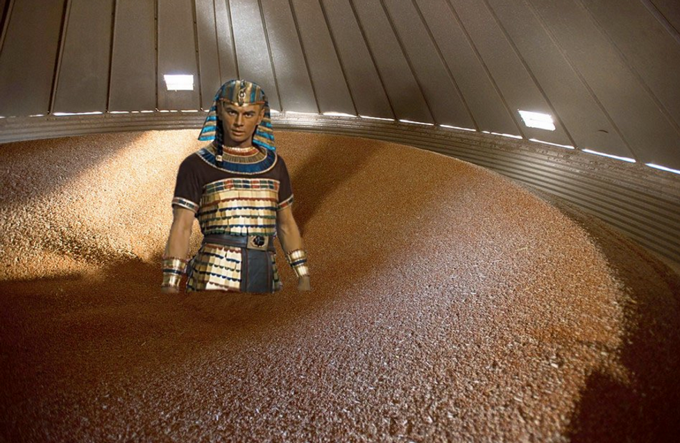 Egypt Does Archaeological Dig On Ben Carson's Brain, Discovers A Idiot