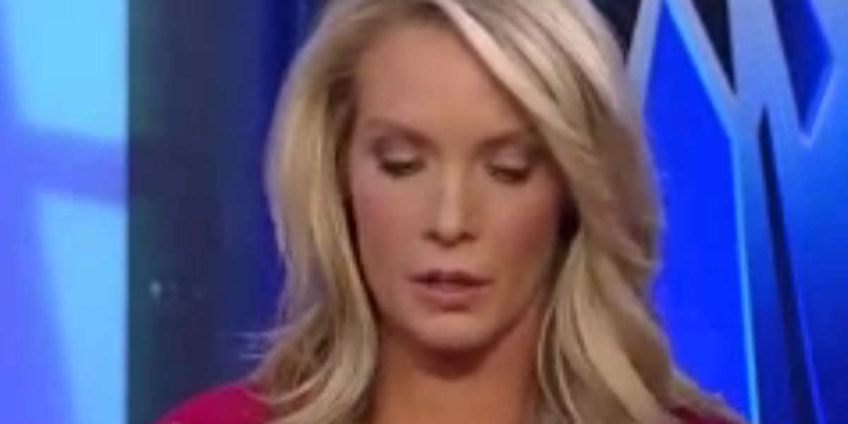 Dana Perino So Sad George Bush Blamed For 9/11 Attack That Never Even