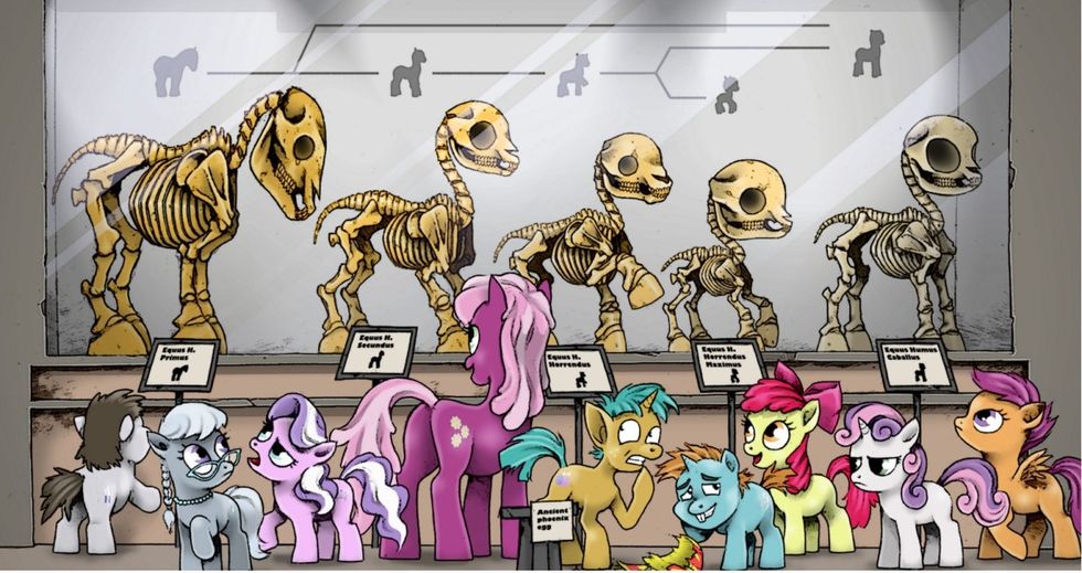 This Neato Video On Evolution Won't Convince Creationists Of Anything