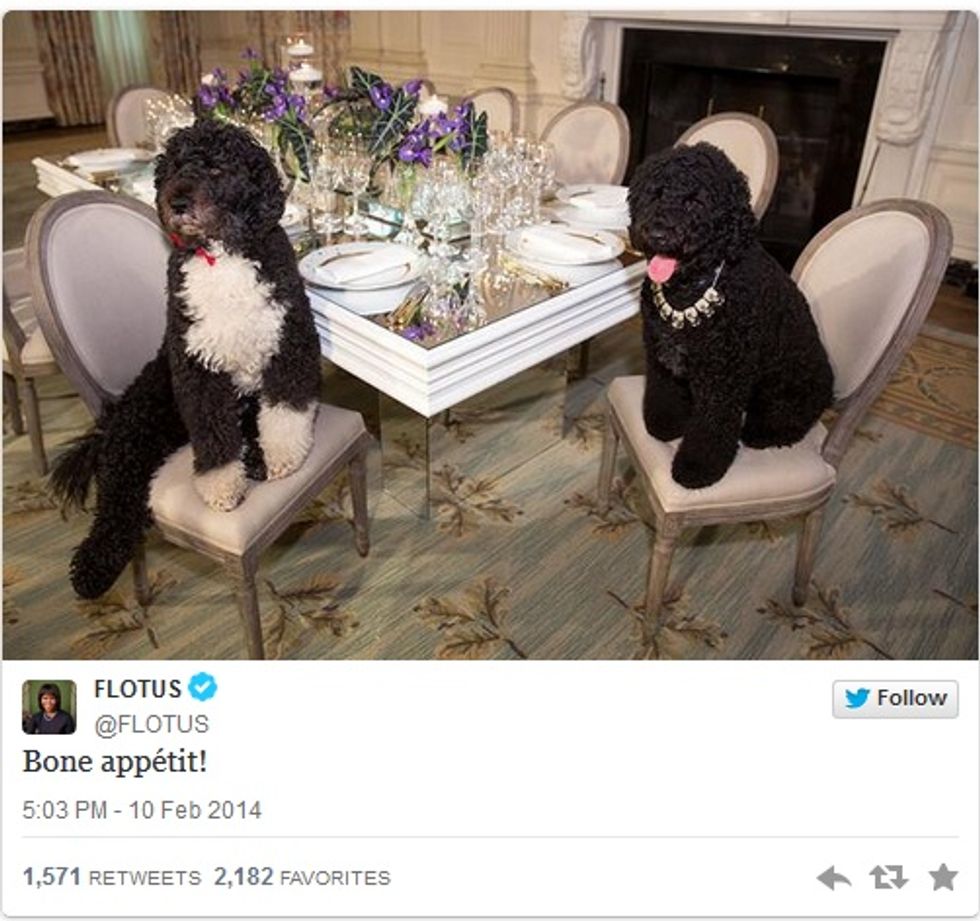 Wild-Eyed Socialists At Daily Caller Want To Guillotine Michelle Obama's Dogs For Crimes Against Proletariat