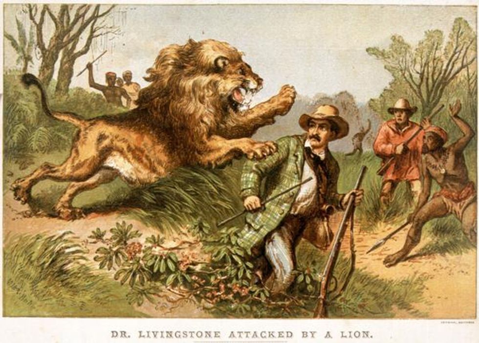 Ted Nugent: What About Lion-On-Lion Crime?