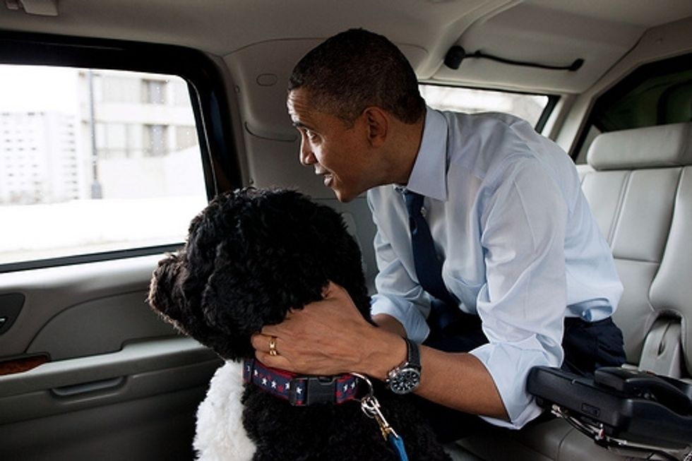 Oh No, Barack Obama Is Going To Do The Puppy Holocaust Now, For Allah!