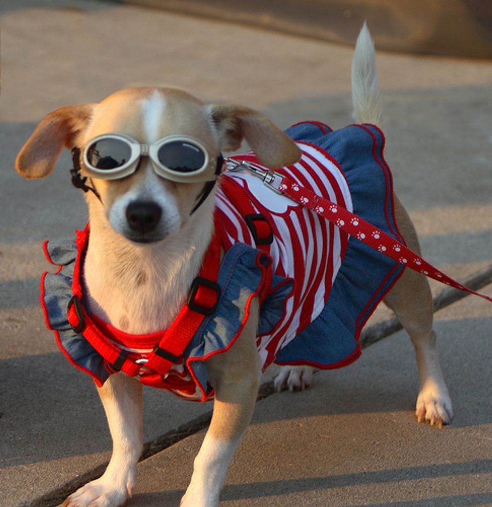 A Children's Treasury Of Sexy Fourth Of July Patriotic Musical Videos