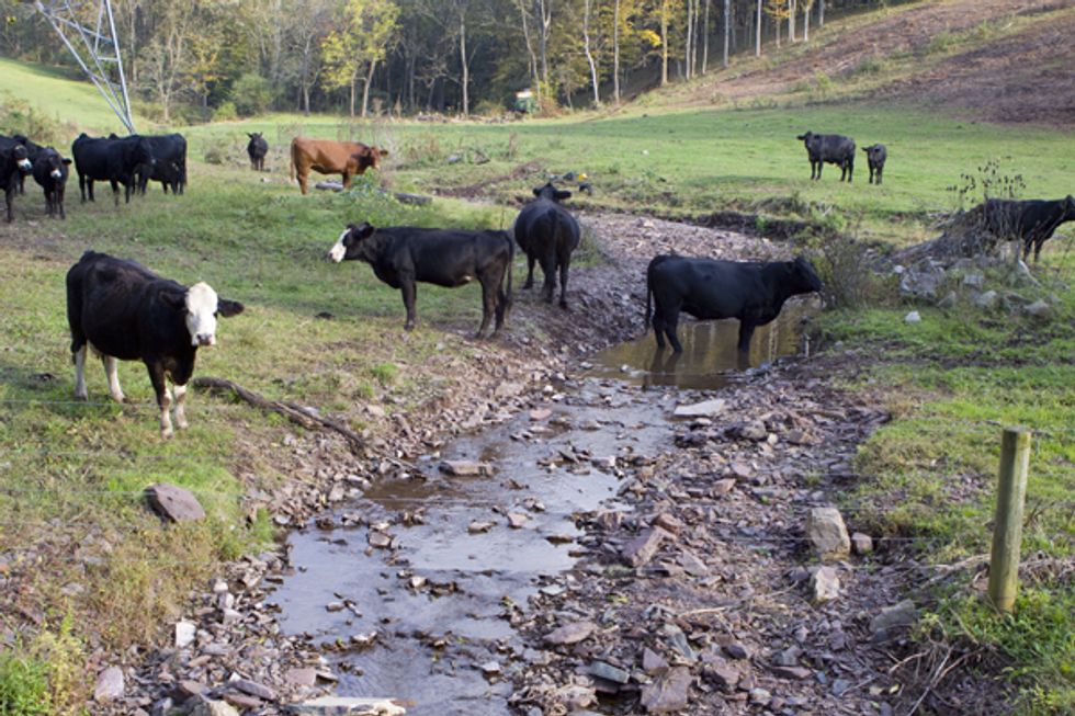 Wyoming Won't Have You Going Around Taking Pictures Of Their Cow Sh*t Infested E. Coli Rivers