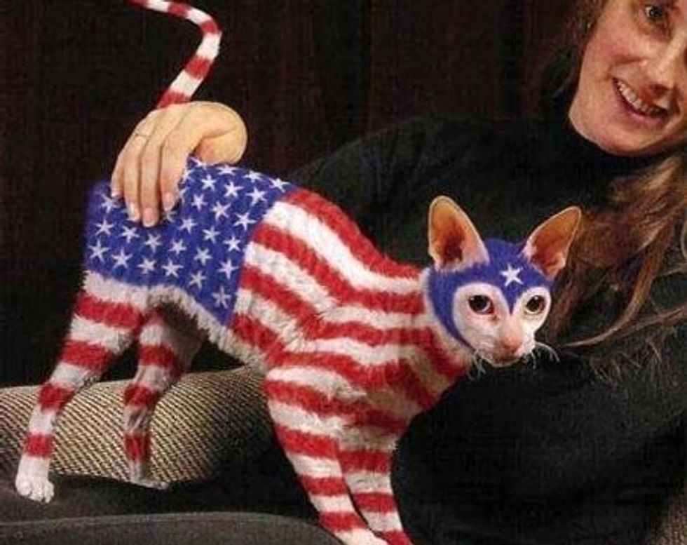 Elementary School Nurse Will Determine If Students Are Patriotic Enough For Her Services
