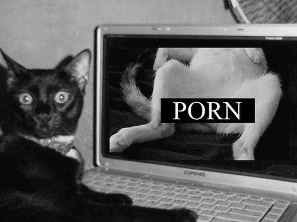 Revenge Porn Extortionist Sentenced To 18 Naughty, Barely Legal Years in Jail