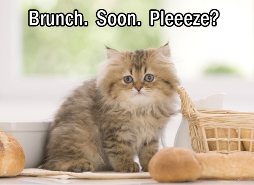 It's Sunday Funday, Let's All Have Brunch And Gossip About The Week's Top Stories!