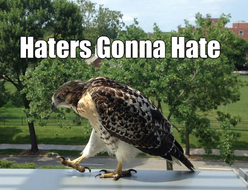 New Hampshire Lege Tells Kids To Shove Their 'State Raptor' Bill Right Up Their Butts