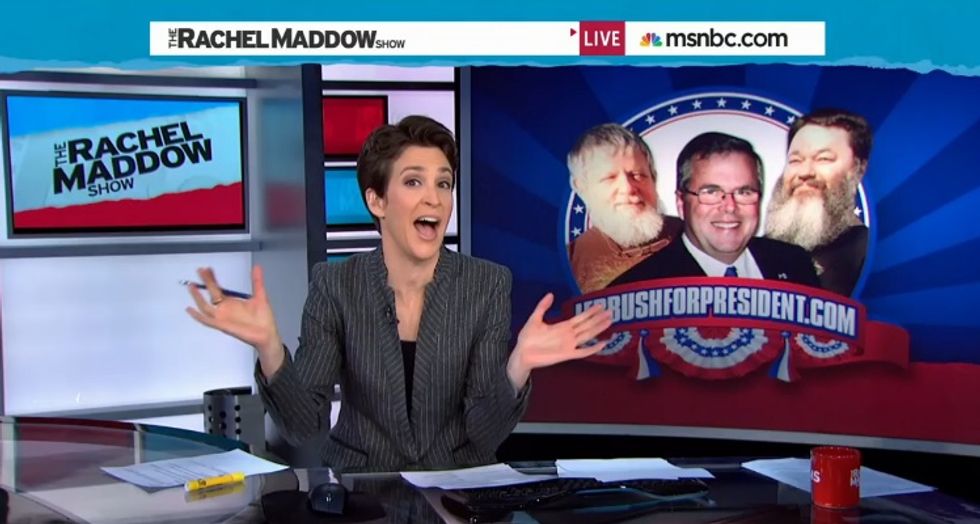 Morning Maddow: Meet The Techie Bears Who've Been Trolling Jeb Bush With Equality