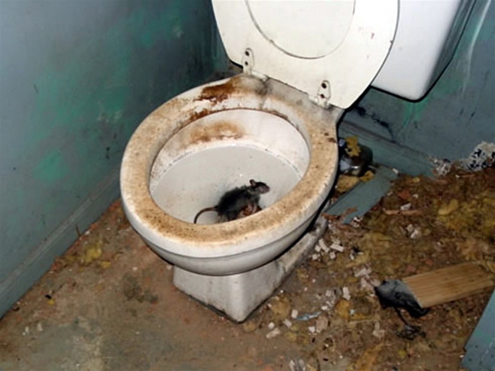 Water Crisis: Filthy, Liquid Death In Montana, Washington, Kiev, Everywhere!