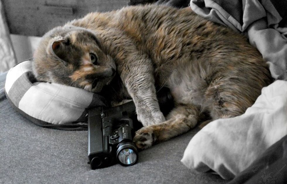 This White Lady In Body Armor Shot All Her Neighbors And Lived To Tell! Your Gun Fun Holiday Roundup!