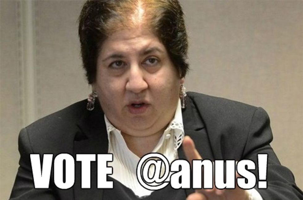 Meet Your Newest GOP Congressional Nominee, Illinois: Wingnut Lady Who Says Gays Cause Autism, Dementia And Tornadoes