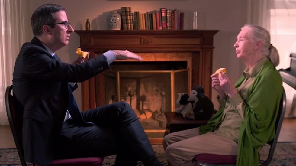 John Oliver, Jane Goodall and Poo-Thrower Hitler (Video!)