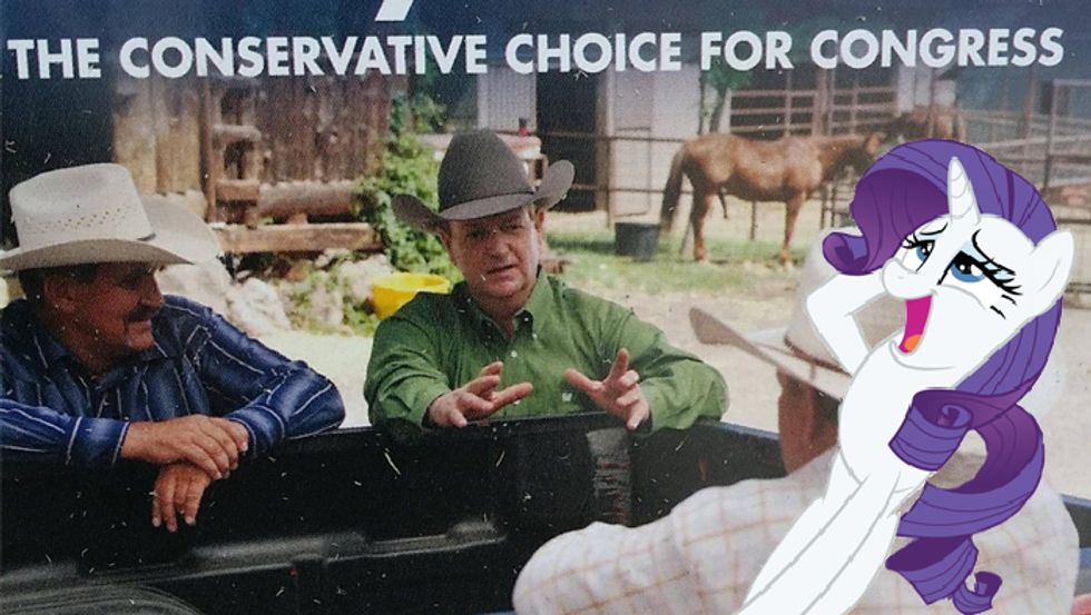 Arizona Congressional Candidate Gets Endorsement From Visibly Aroused Horse