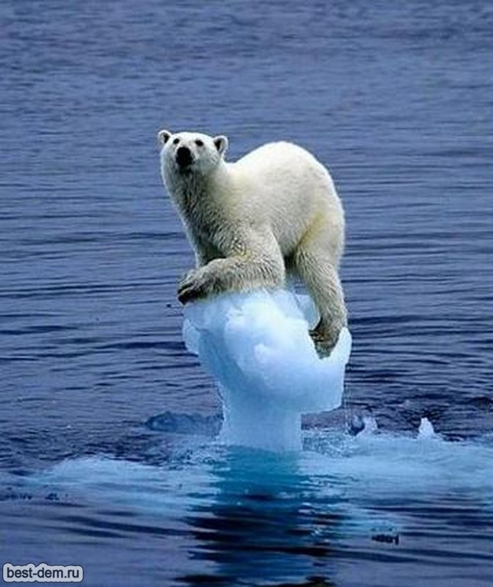 Who Needs Big Coastal Cities Like New York Anyway, Says Koch Brothers Climate Shill