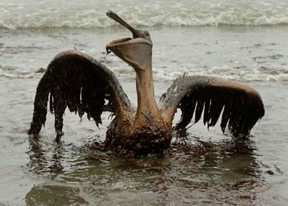 BP Chief To Gulf States: Suck It, Losers