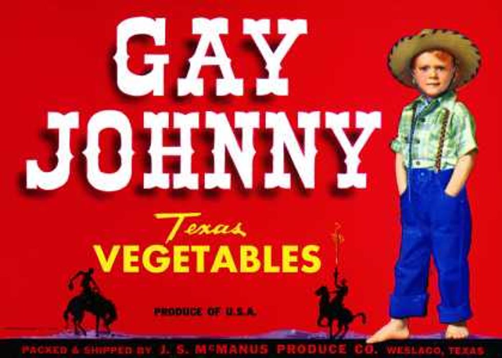 Arkansas Supreme Court Seeks To Un-Cram Gay Marriage From Their Throats