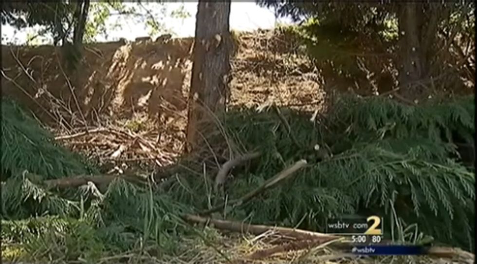 Hero Georgia Cop Ready To Shoot Black Kids Building Treehouse, As Thugs Sometimes Do