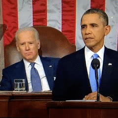 Old Handsome Joe Biden Tries To Sell Canadian On Obamacare