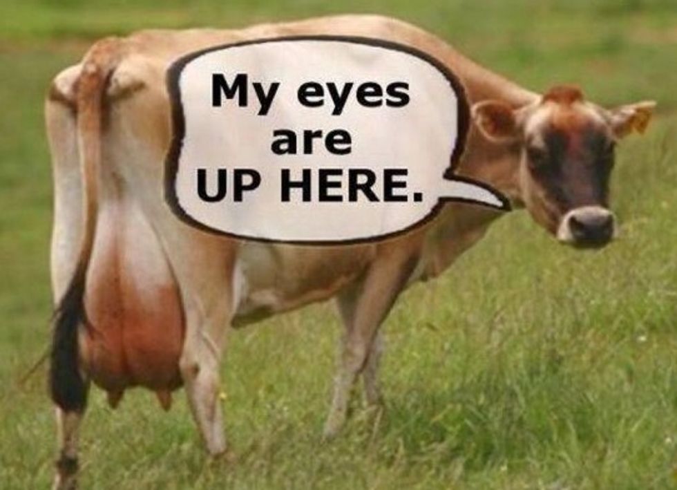 Idaho Lege Cracks Down On Animal Rights Troublemakers So We'll Never Have To Hear About Cow Rapers Again