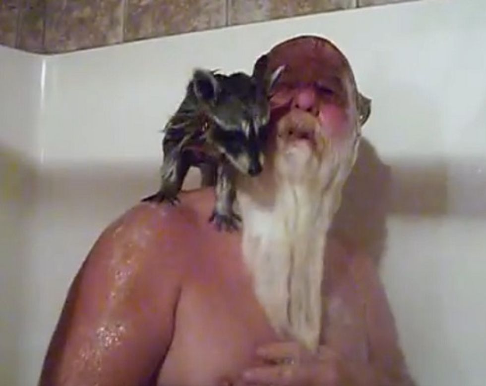 Tennessee Governor Candidate: Everybody's Got Someone To Bathe 'Cept For Me And My Raccoon
