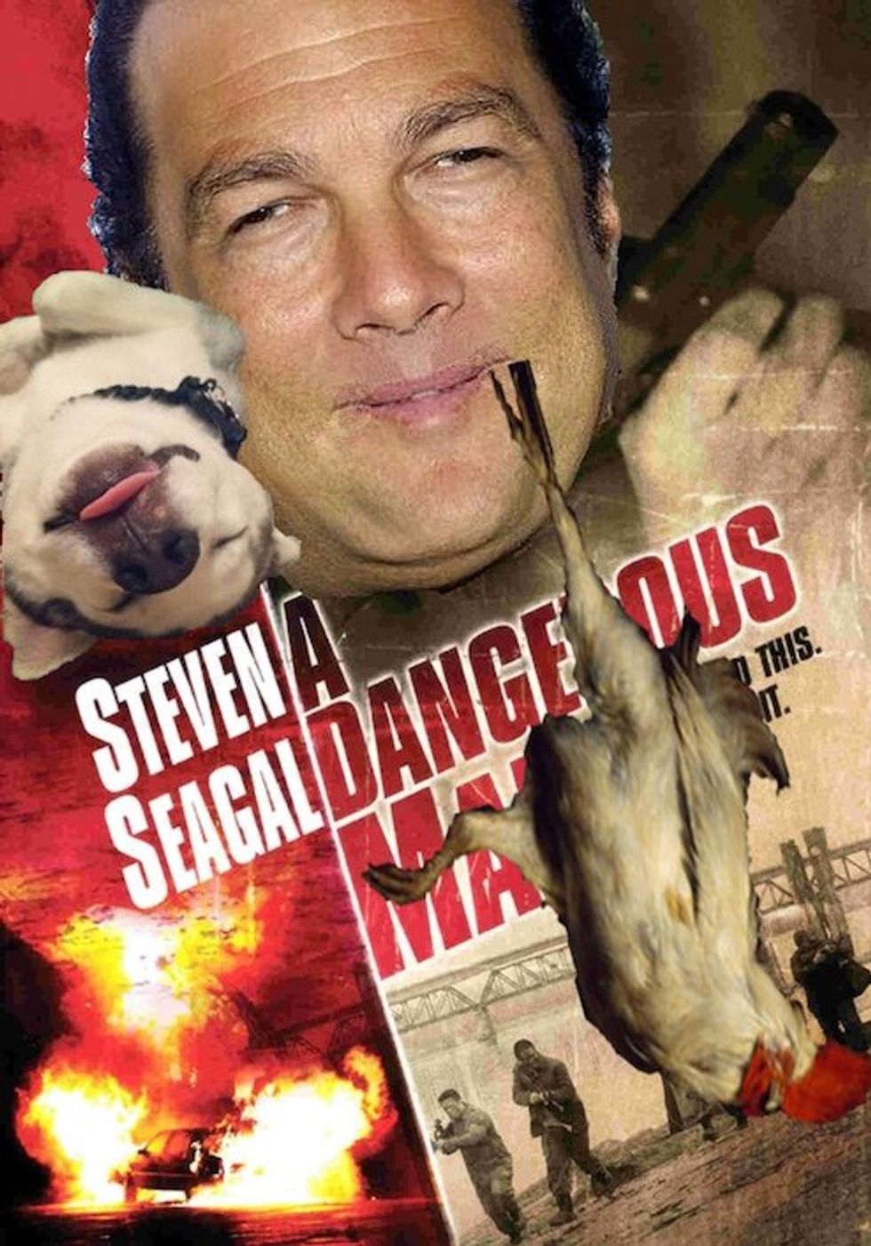 Steven Seagal Will Not Be Your Hero Lawman Sheriff Governor, Arizona