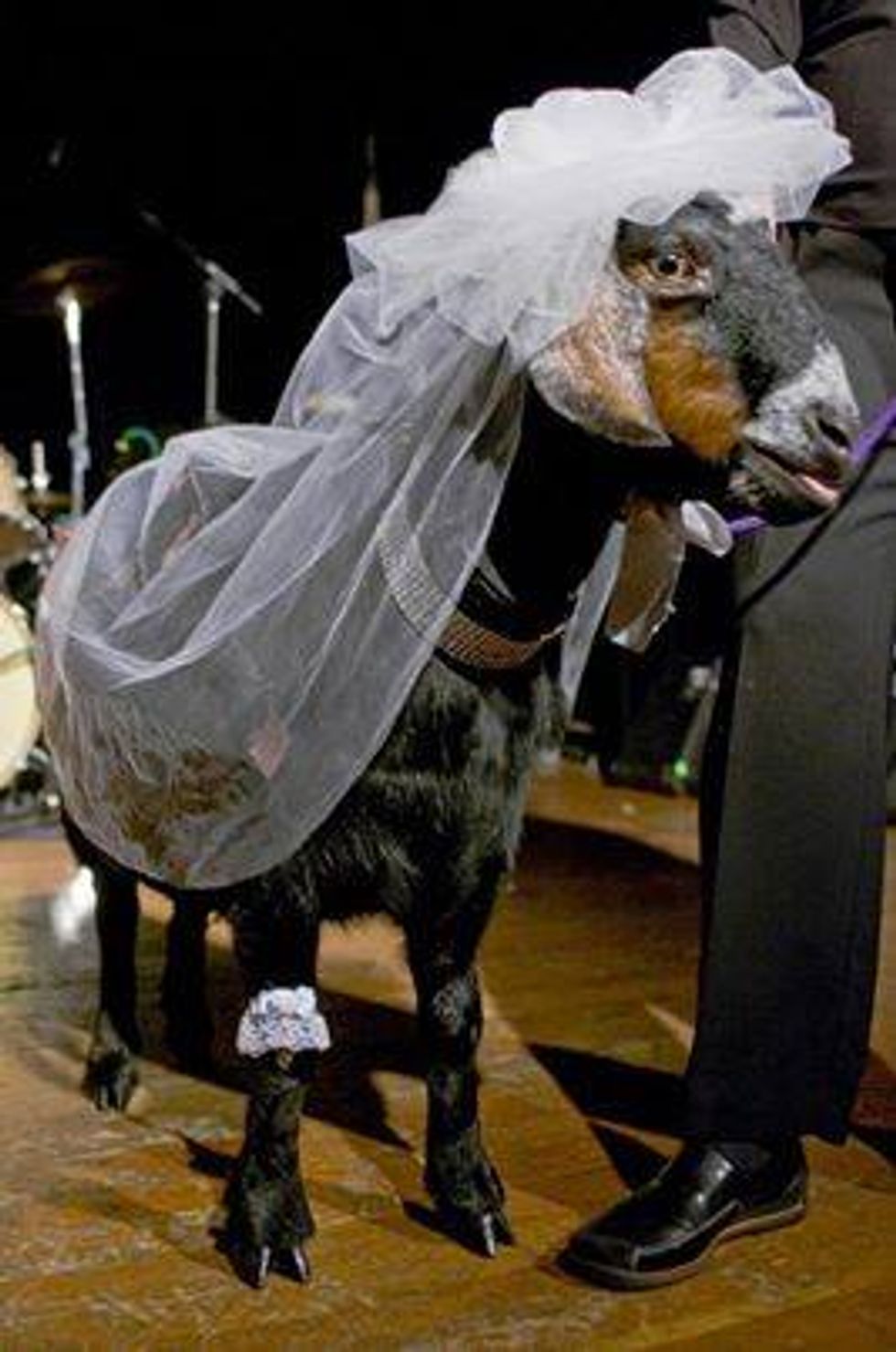 North Carolina Fails In Bid To Protect Capitol From NAACP, Same-Sex Goat Weddings
