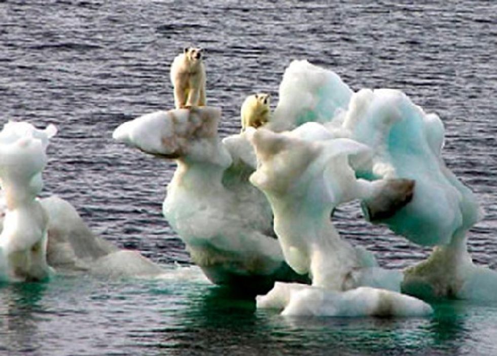 Weather Channel Founder Says Polar Bears Doing Great Because Eskimos Stopped Being Savages