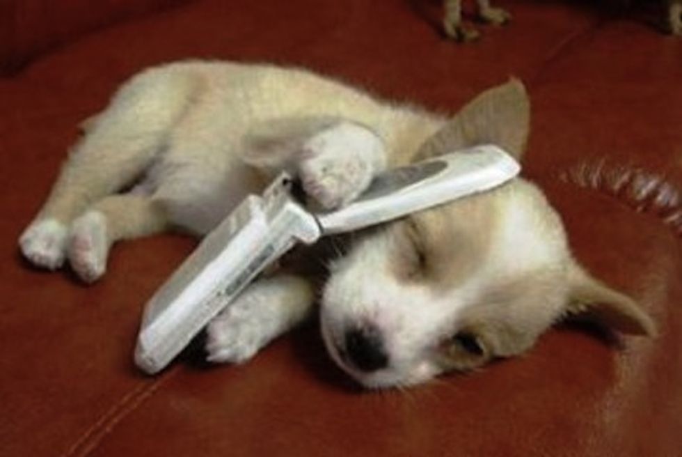 Sunday Bloody NYT Sunday: The Phoning It In Holiday Weekend Edition