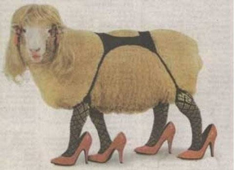 Hawaii's Senator Brian Schatz Didn't Actually Do Sex On That Sheep