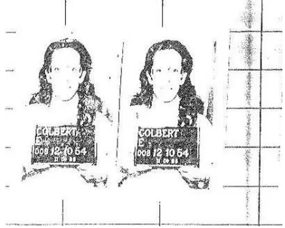 Drudge Siren! Elizabeth Colbert Busch's Life Of Crime!