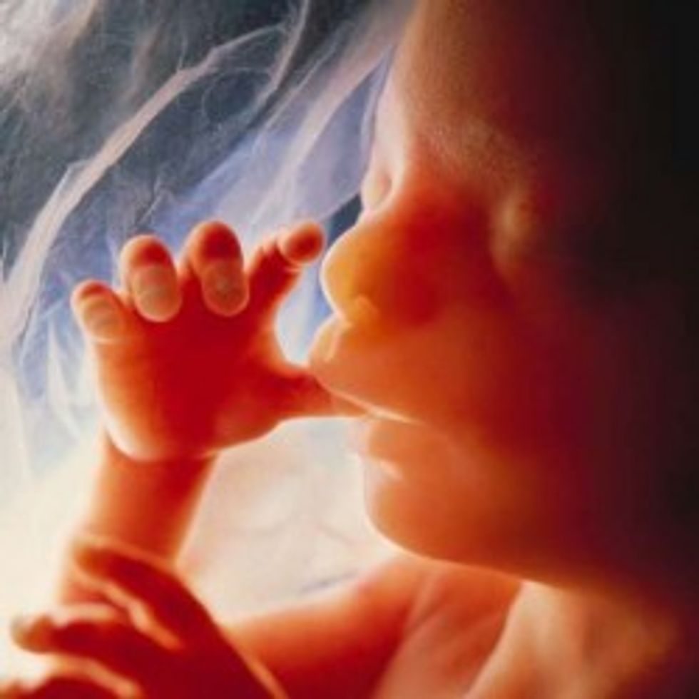 On The Pill? Tiny Dead Fetuses Are Eating Your Innards