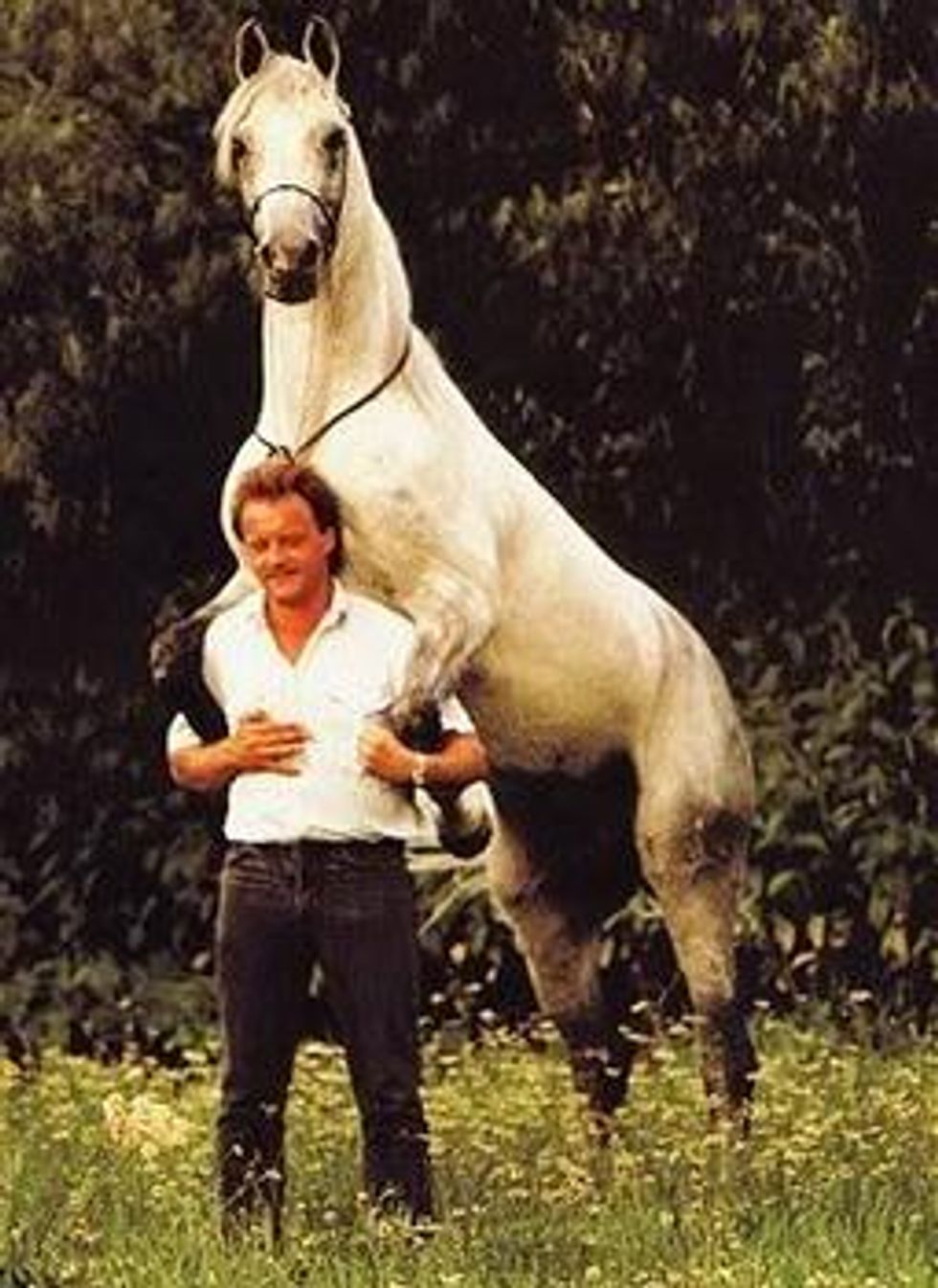 You Are Not Gay Anymore, Thanks To Horse-Fondling School