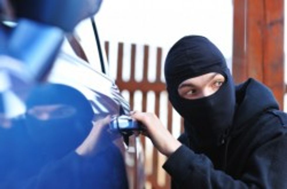 Karma Burgles Car Robber-Arsonist-Congressman's Darrell Issa's House